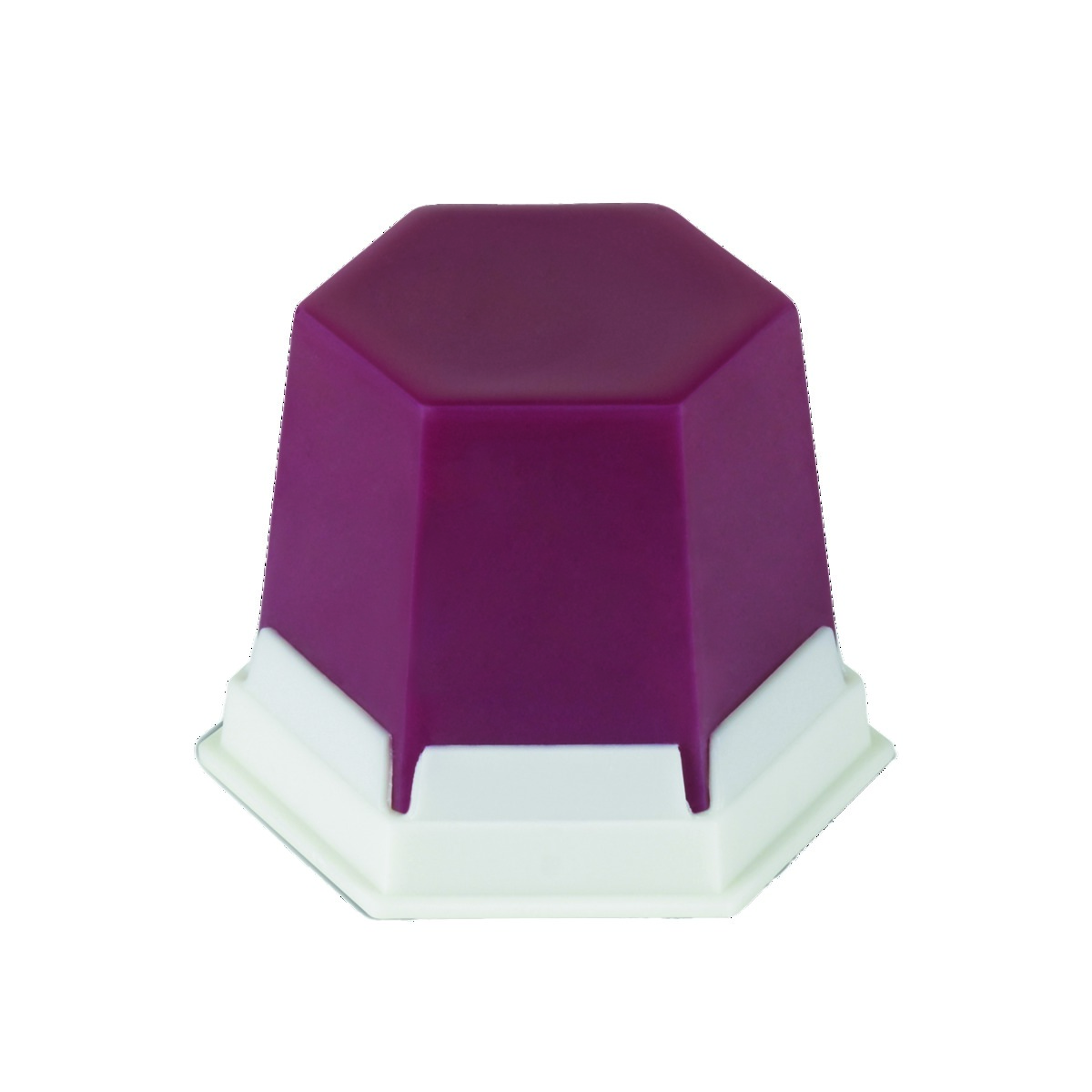 GEO Collante RENFERT - Rose transparente - La boîte de 75 g
