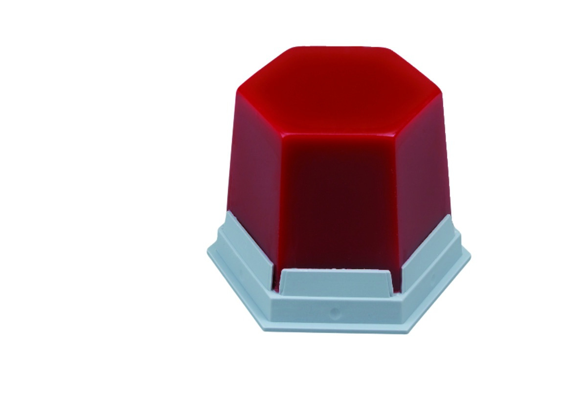 GEO inerte RENFERT - Rouge transparent - La boîte de 75 g