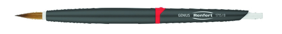 Pinceaux Genius N°8 (x2) RENFERT
