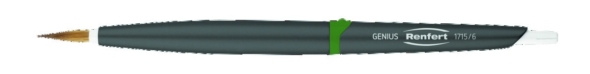 Pinceaux Genius N°6 (x2) RENFERT
