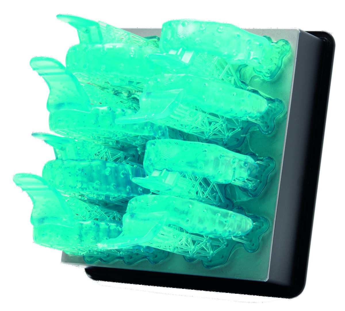 R&eacute;sine Custom Tray Formlabs - 1L - Form 3
