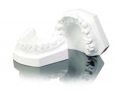 SHERABIANCO dur orthodontic blanc neige SHERA - Le carton de 20 kg