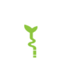 &Eacute;tape 1