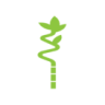 &Eacute;tape 3